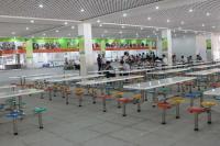 廣州市翡翠教育信息咨詢 專業(yè)引領，點亮羊城學子求學路
